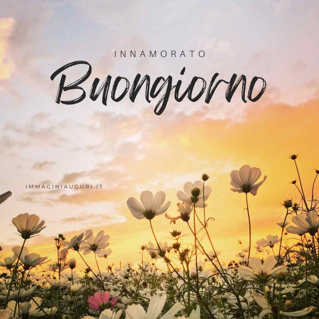 immagine buongiorno