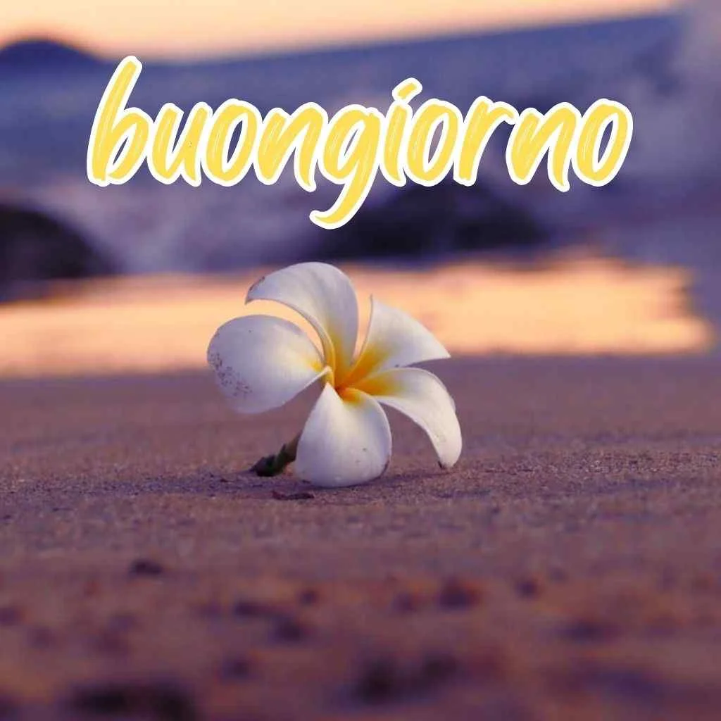 immagine del buongiorno