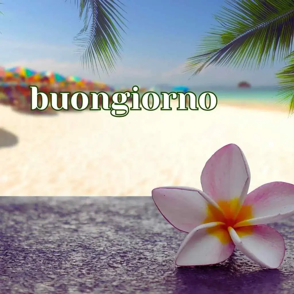 immagini buongiorno divertenti