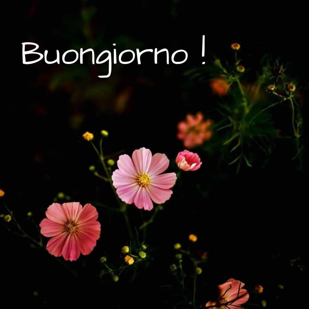 immagini di buongiorno nuove