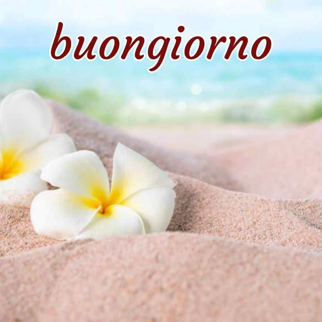 immagini di buongiorno