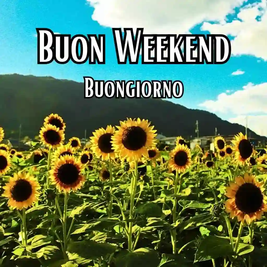 Buon Weekend Immagini per Whatsapp