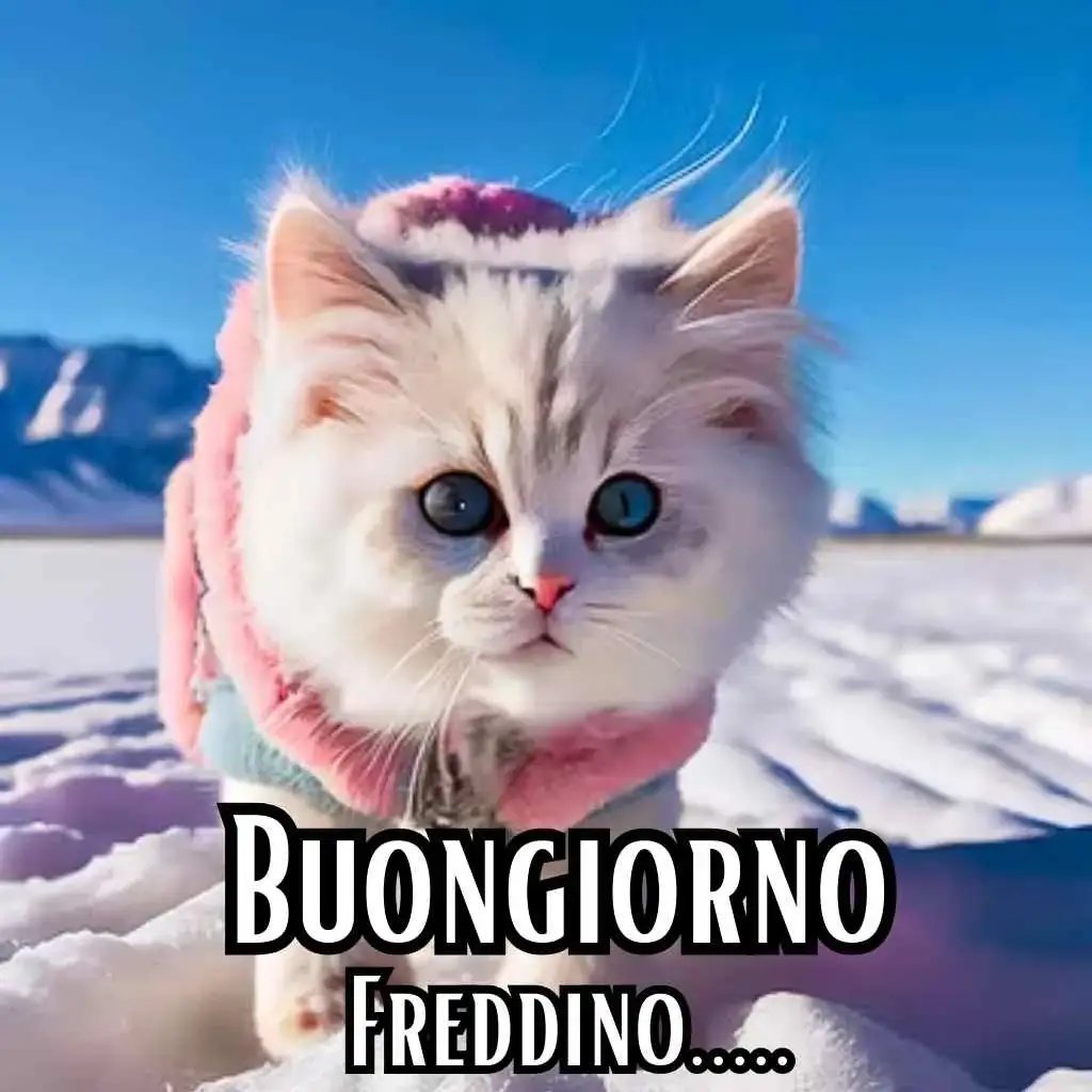 Giovedì Buongiorno freddoloso