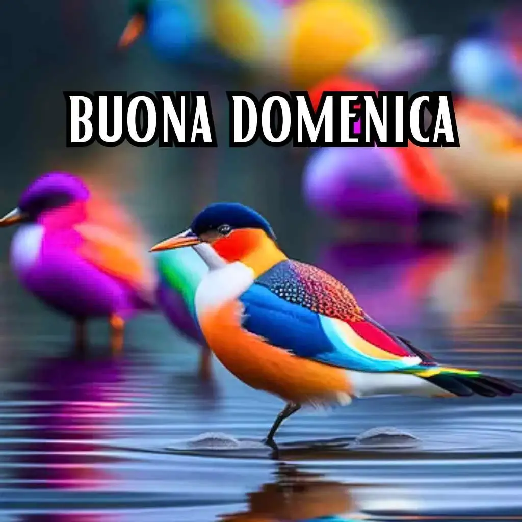 Immagini di Buona Domenica gratis