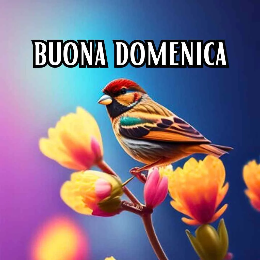 buon giorno buona domenica