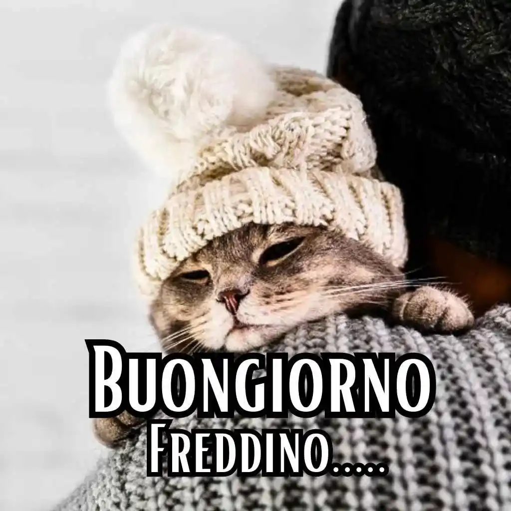 buongiorno freddoloso amore