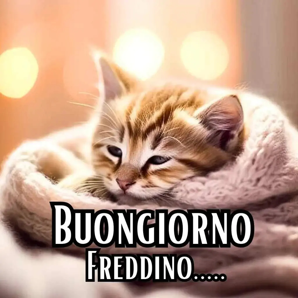 buongiorno freddoloso cani