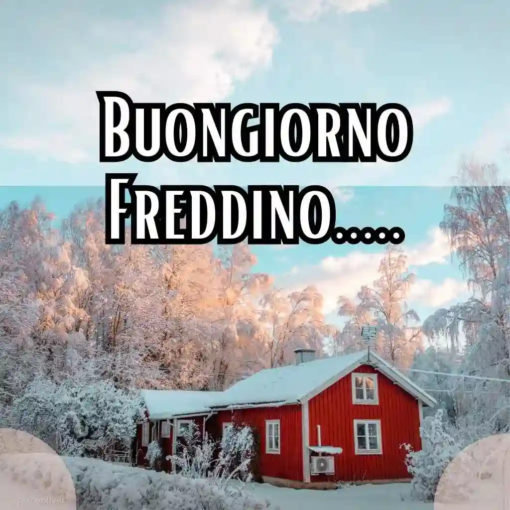 buongiorno freddoloso gif