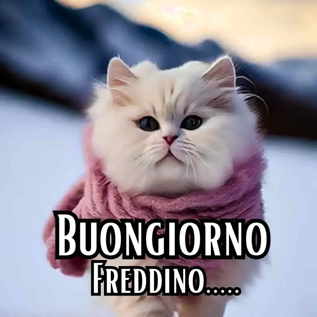 buongiorno freddoloso nuove 2023