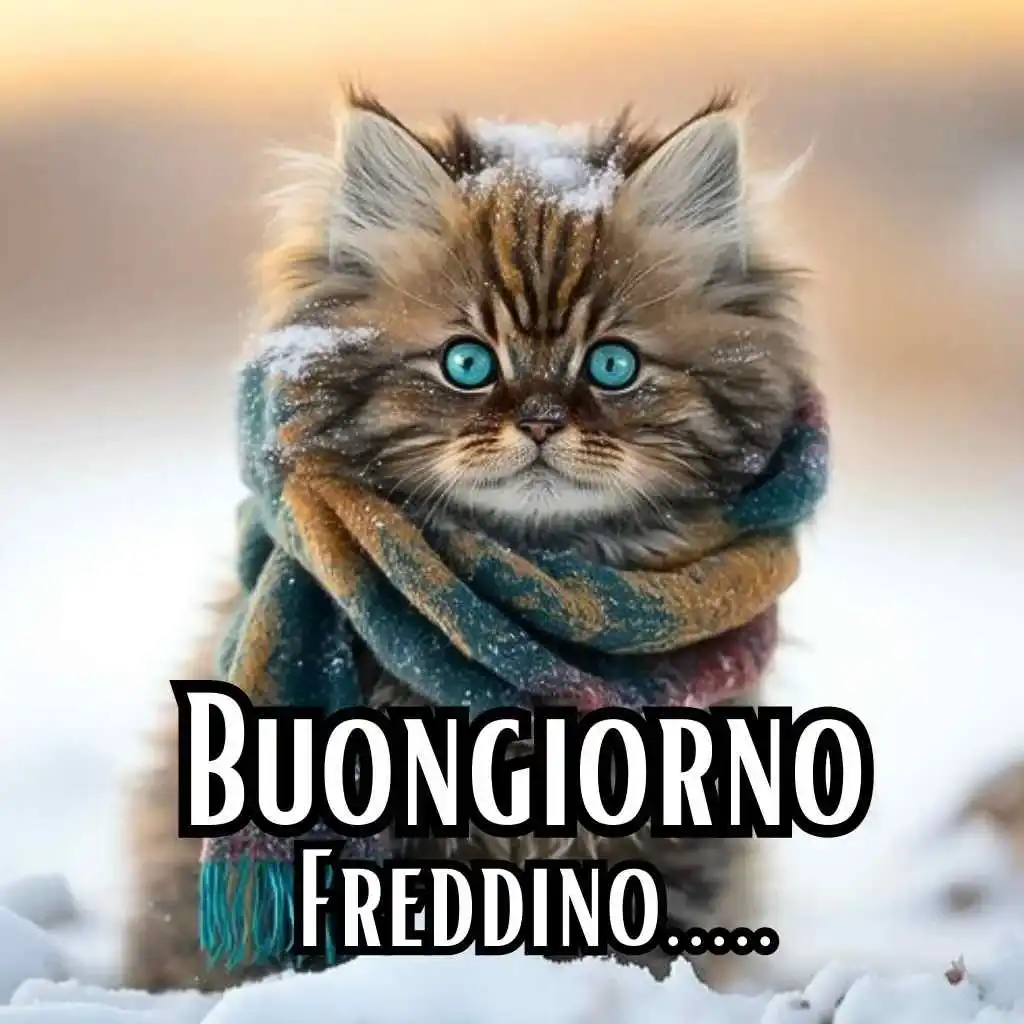 buongiorno freddoloso per whatsapp