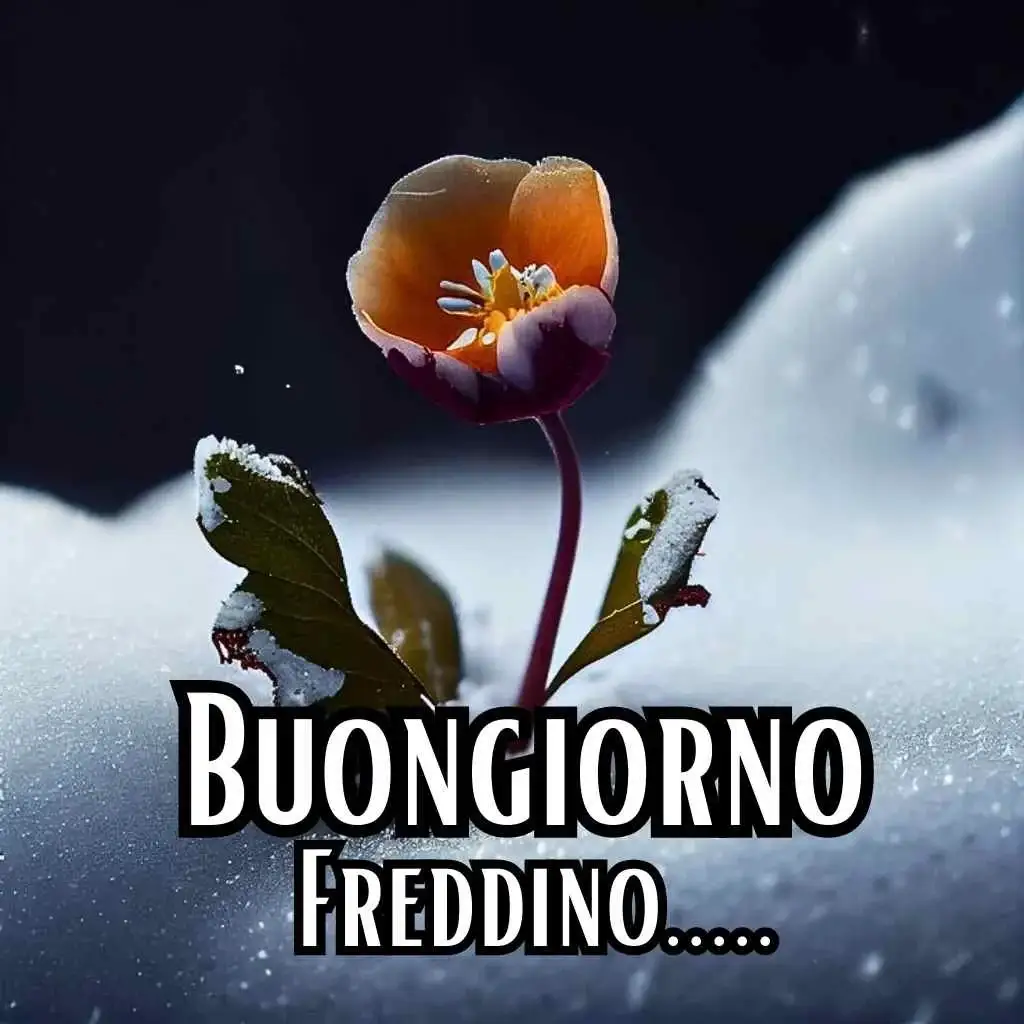 buongiorno immagini freddo