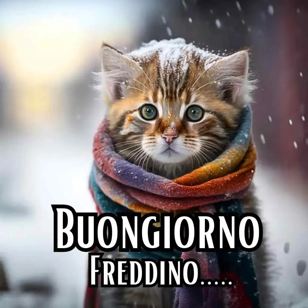 buongiorno immagini freddoloso