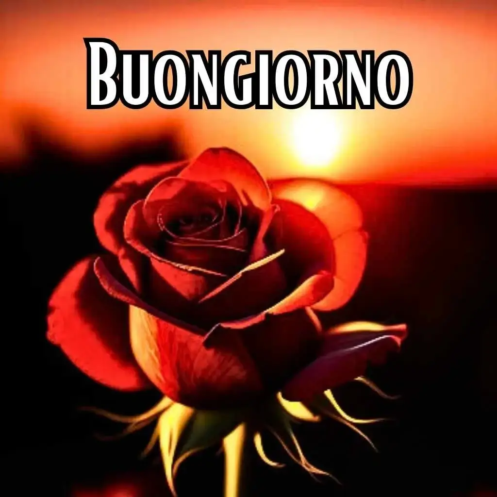 buongiorno immagini nuove 2023 gratis