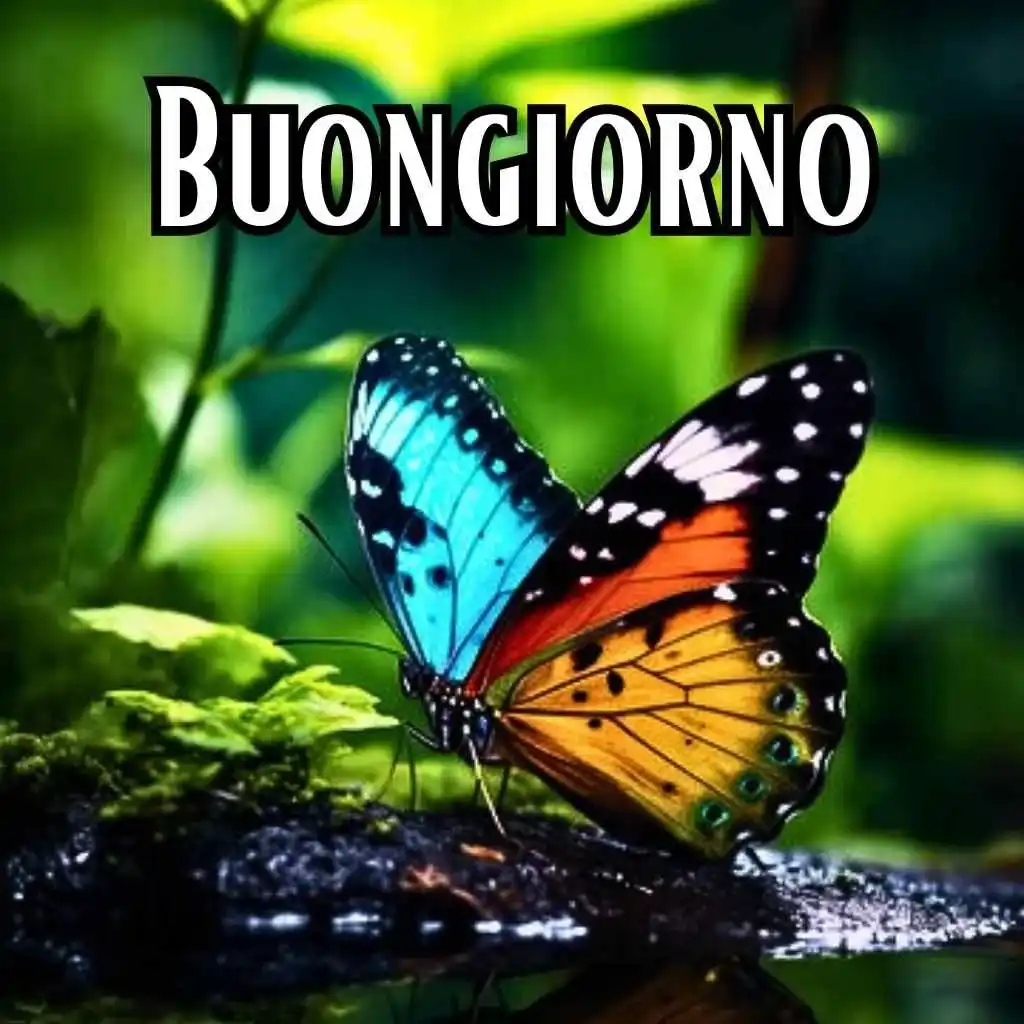 buongiorno immagini nuove 2023 gratis per whatsapp gratis