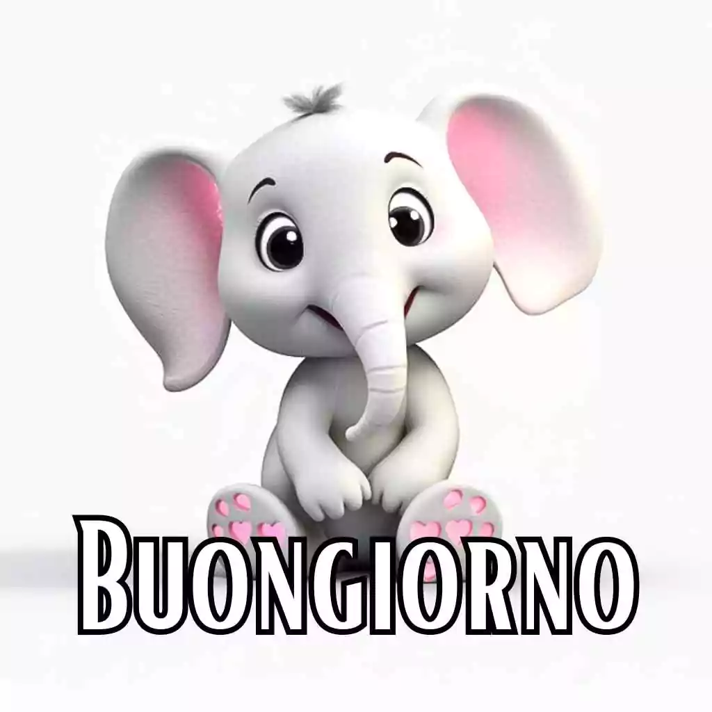 buongiorno nuovissimi