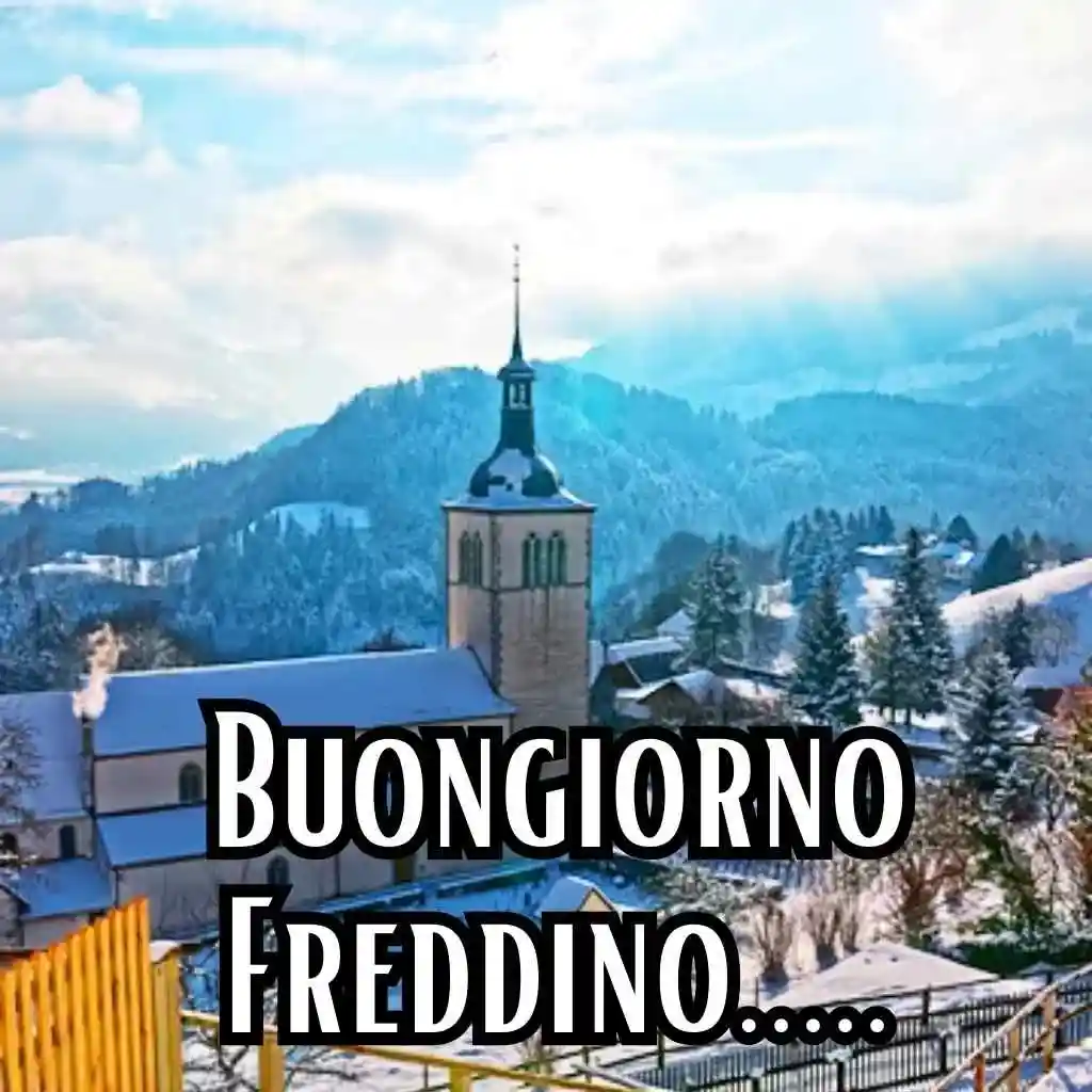 freddo divertente buongiorno