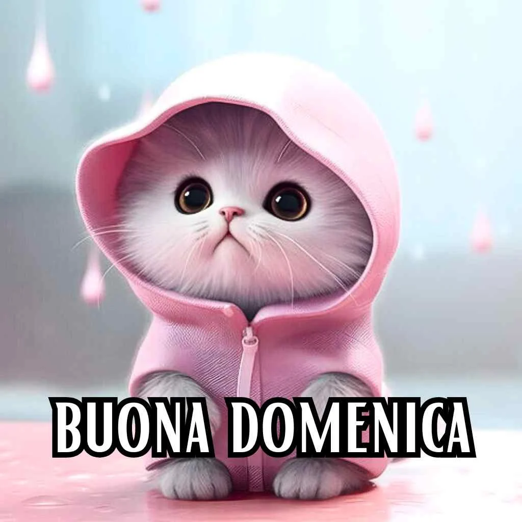 immagini buona domenica whatsapp gratis