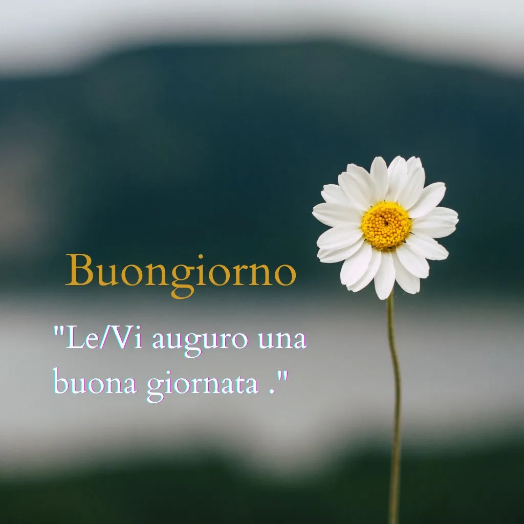 immagini buongiorno