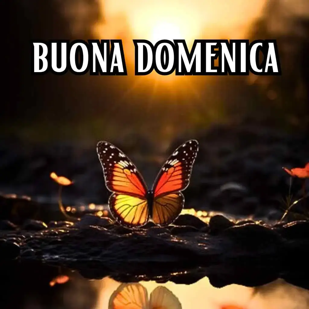 immagini buongiorno e buona domenica