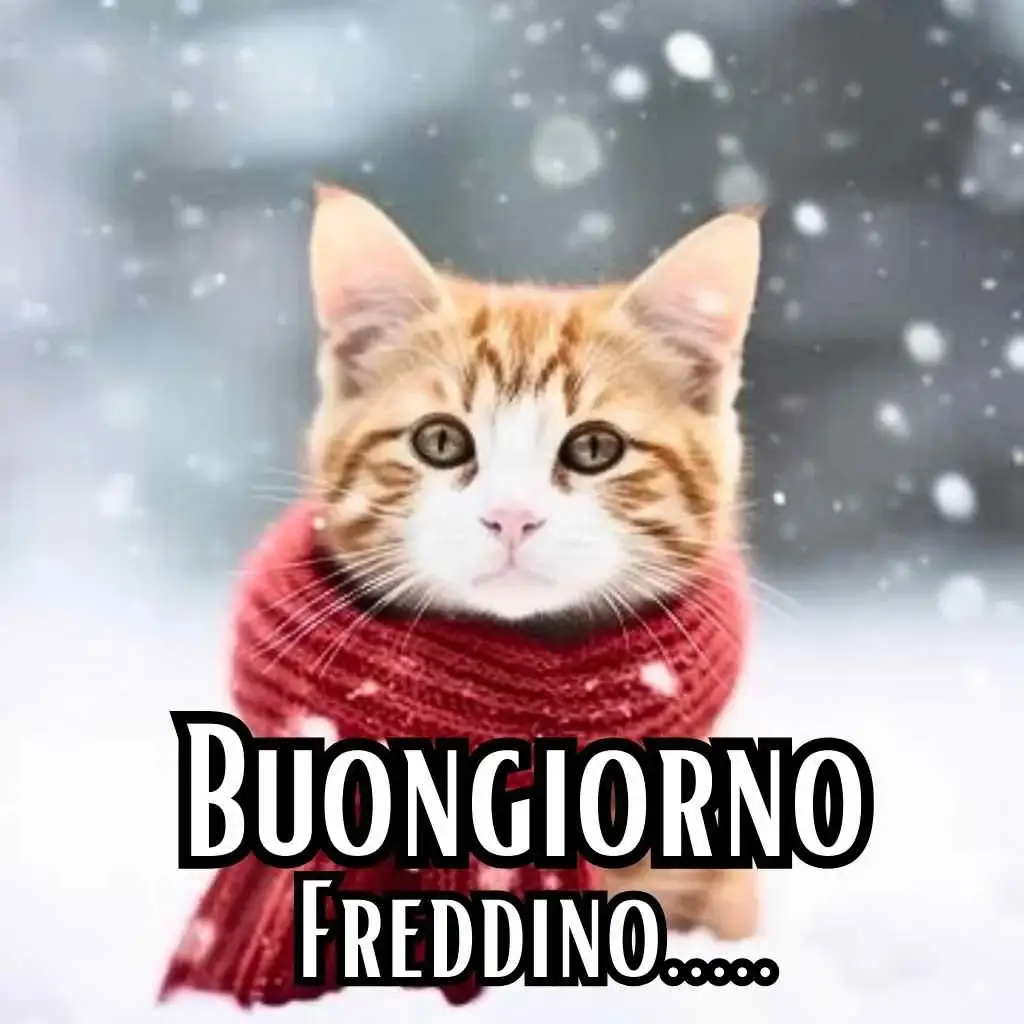 immagini buongiorno freddoloso gratis