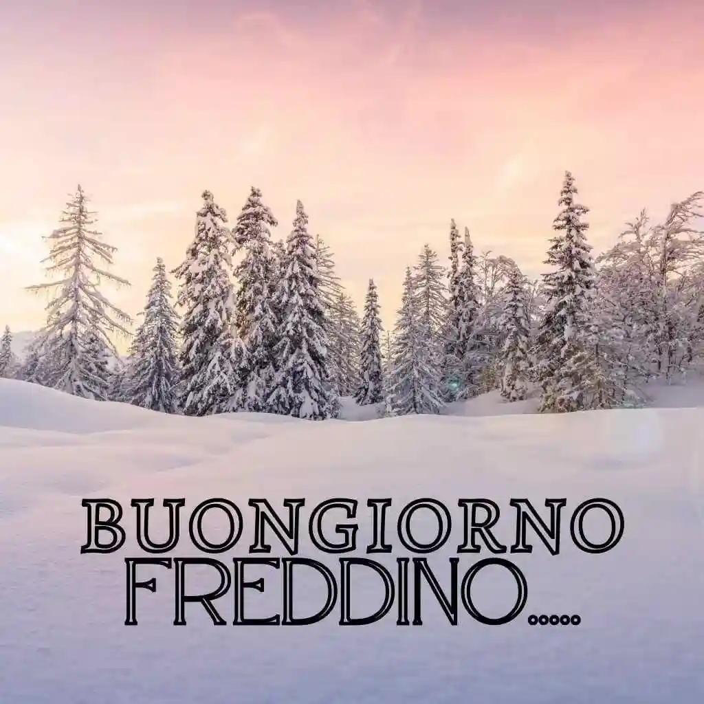 immagini buongiorno freddoloso