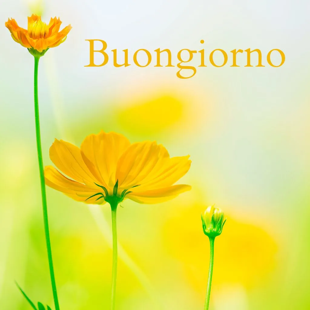 immagini buongiorno nuove