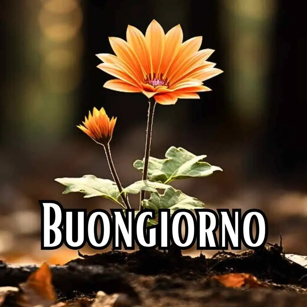 le ali del sorriso buongiorno immagini nuove gratis