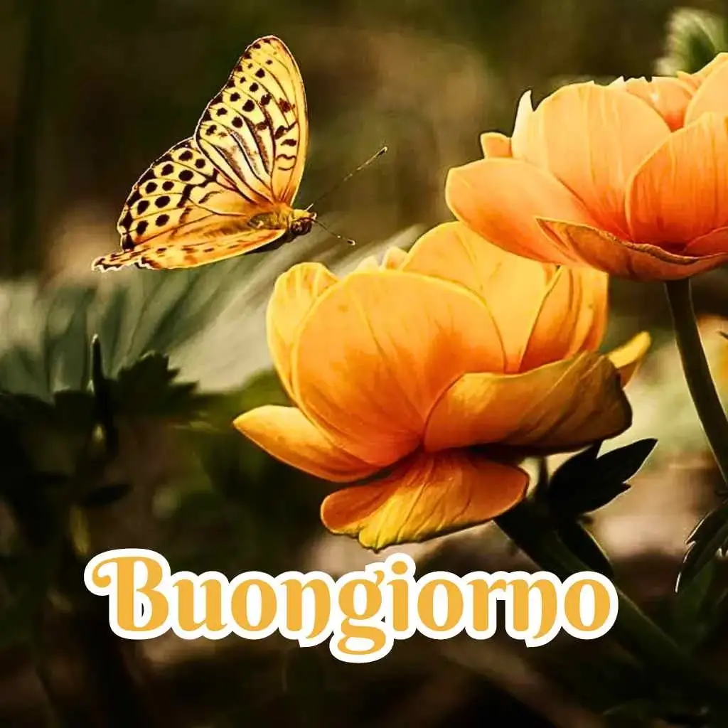 100 Immagini Buongiorno Foto