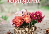 100 immagini buongiorno gratis per whatsapp