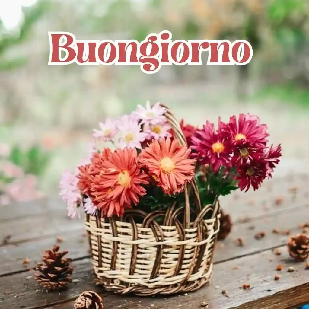 100 immagini buongiorno gratis per whatsapp