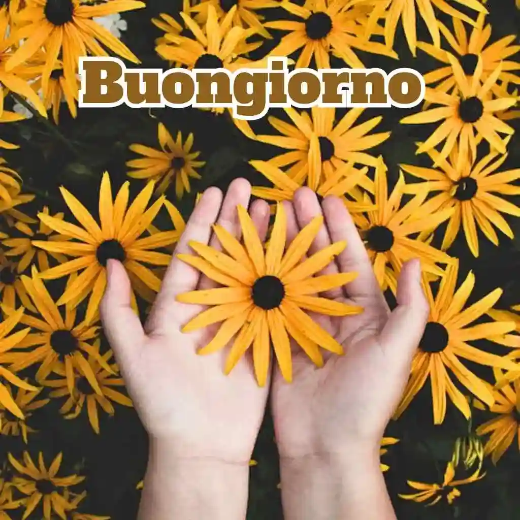 100 immagini buongiorno gratis