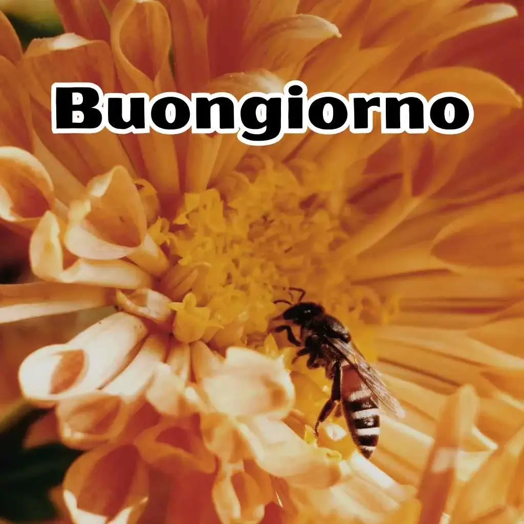 Buongiorno Nuovissimi immagini