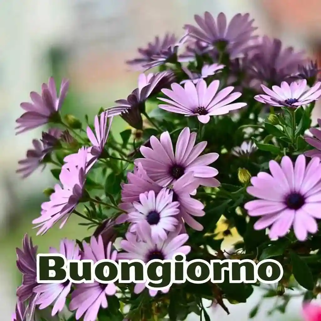 Immagini Buongiorno Nuove