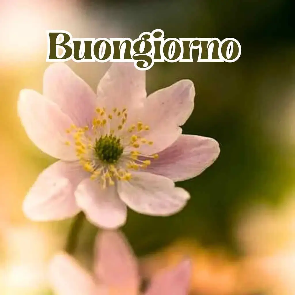 Immagini Buongiorno Nuove 2023