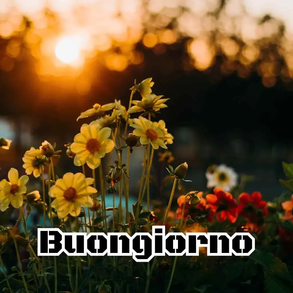 Immagini Buongiorno Nuove