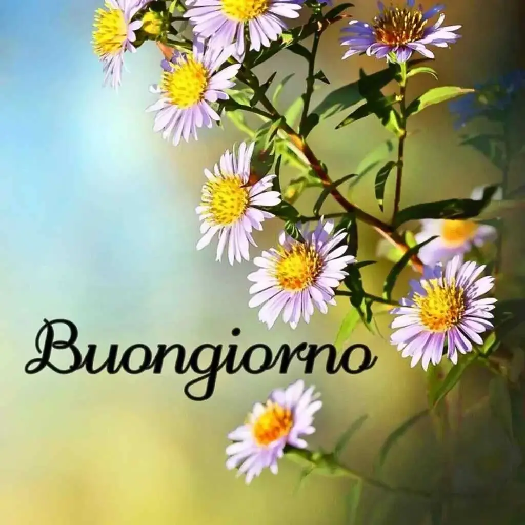 Immagini Buongiorno nuove gratis