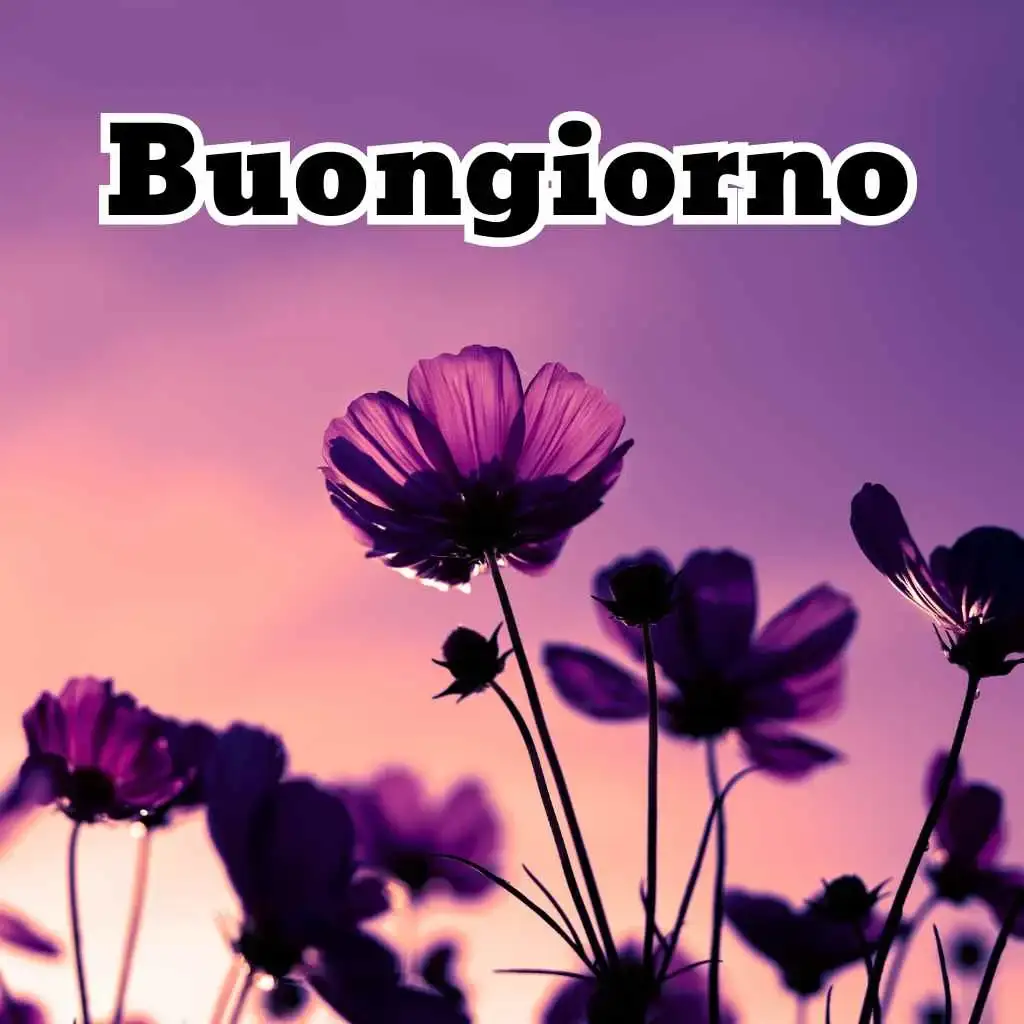 Immagini Buongiorno