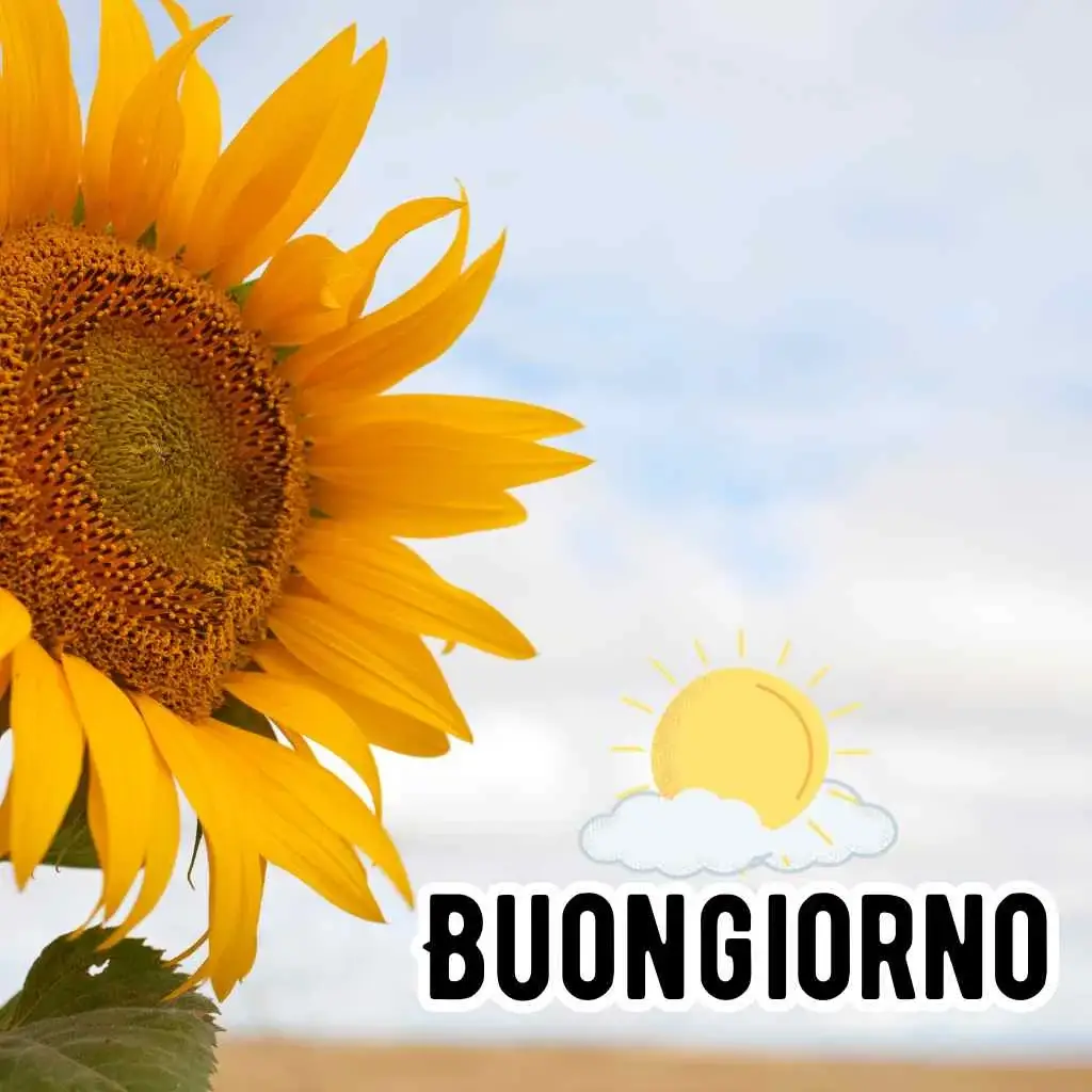 Immagini di Buongiorno Nuove Gratis