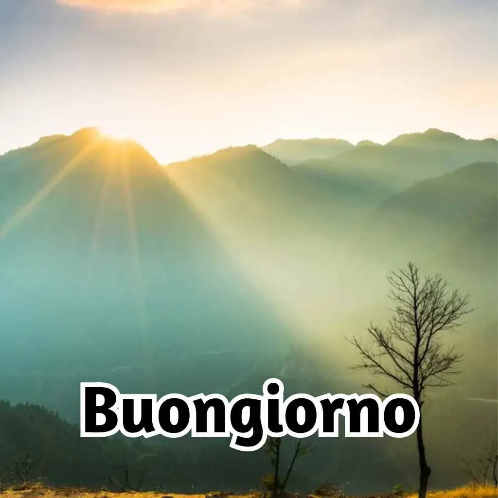 buongiorno nuovissimo