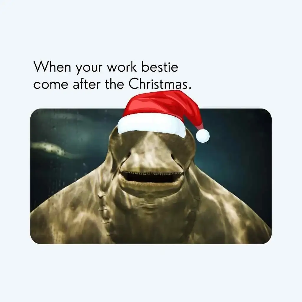 christmas meme funny