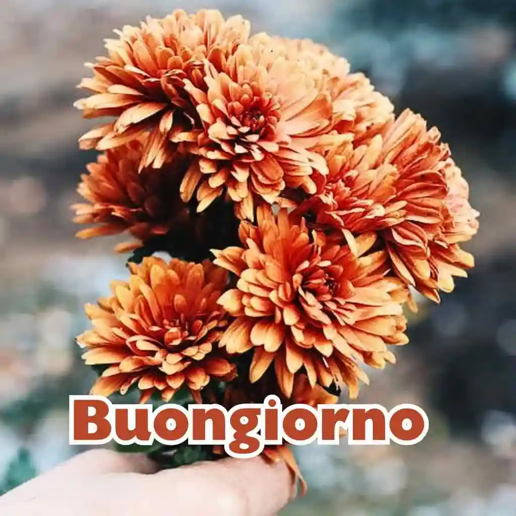 immagini buongiorno gratis per whatsapp 100