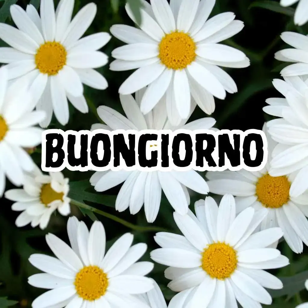 immagini di buongiorno nuove