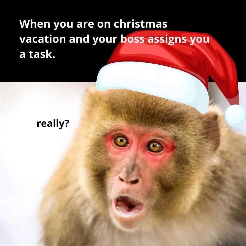 merry christmas memes funny