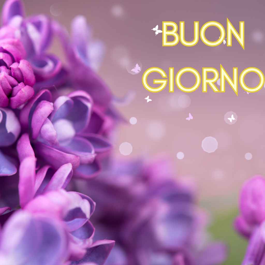100 immagini buongiorno gif nuove gratis per whatsapp