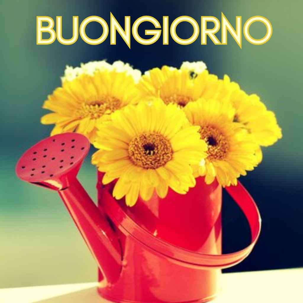 100 immagini buongiorno gratis per whatsapp