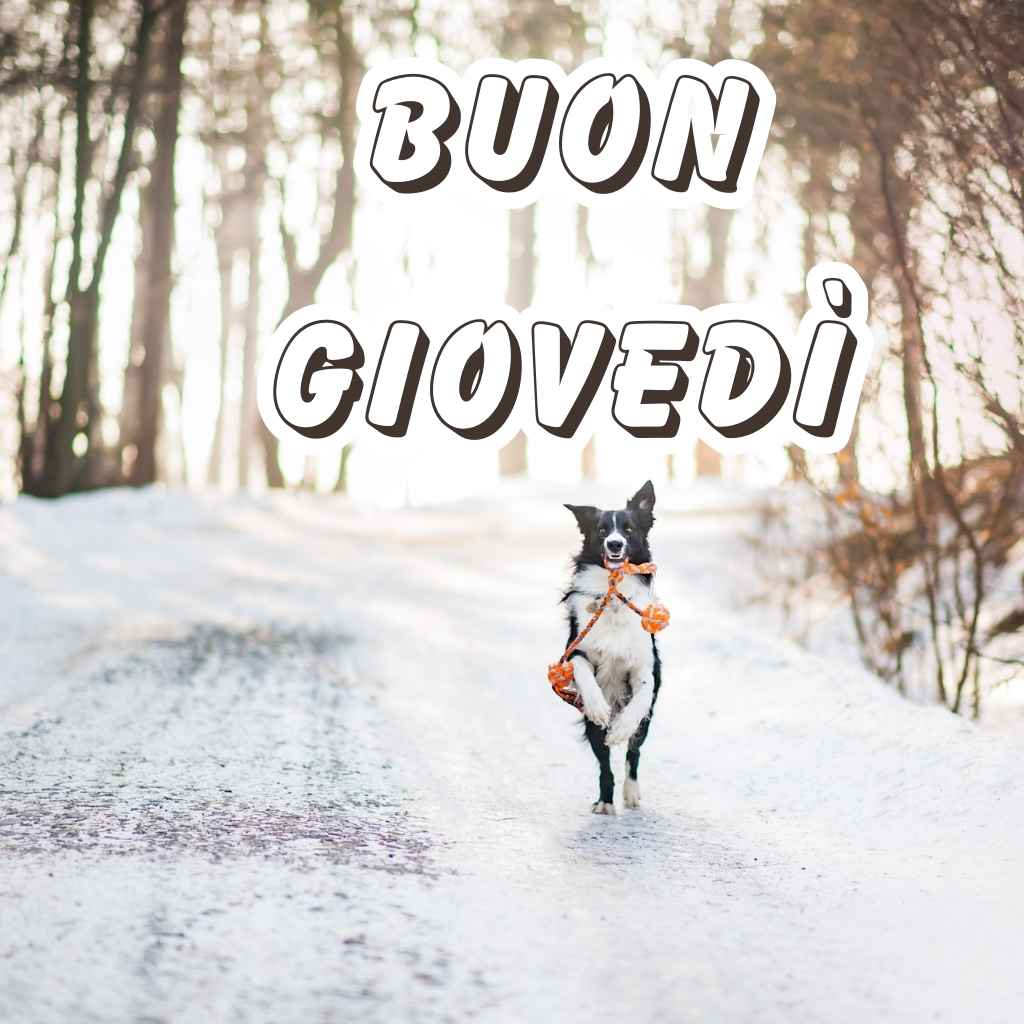 buon giovedì invernale