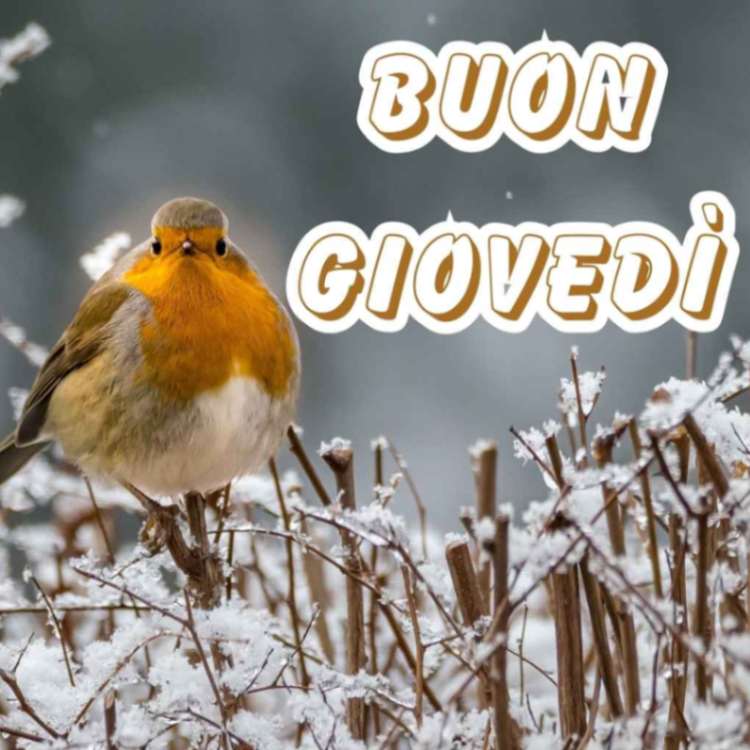 buon giovedì pomeriggio invernale