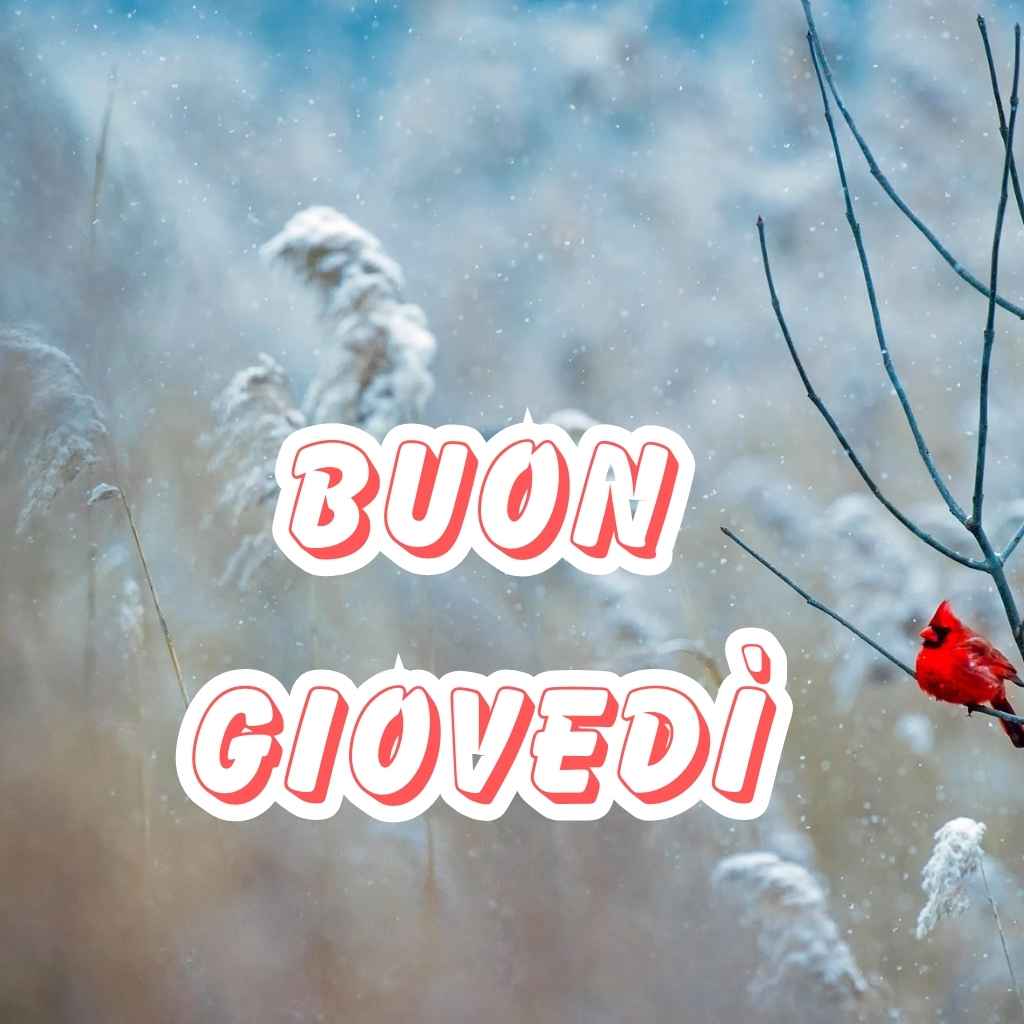 buongiorno buon giovedi