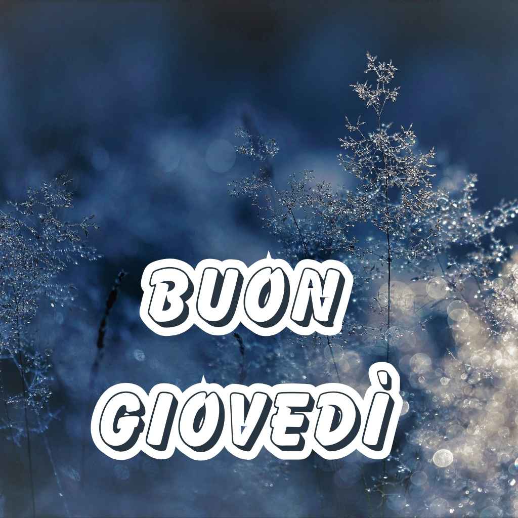 buongiorno e buon giovedì invernale