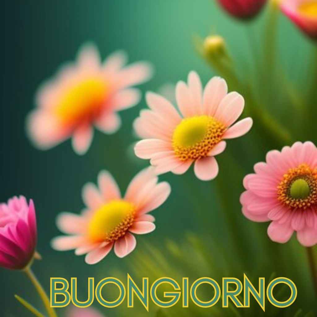 buongiorno immagini nuove 2023 gratis per whatsapp gratis